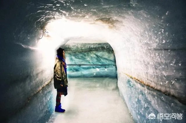 假如你可以看到你十年以后是什么样，你会看吗？