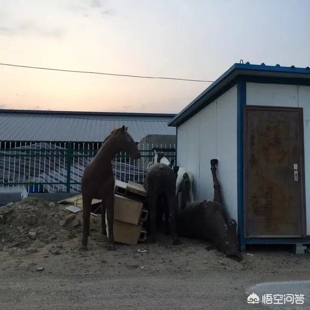 如何利用手机app让一张照片“起死回生”?