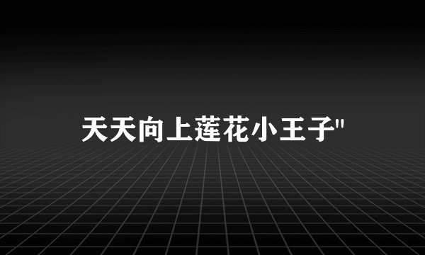 天天向上莲花小王子