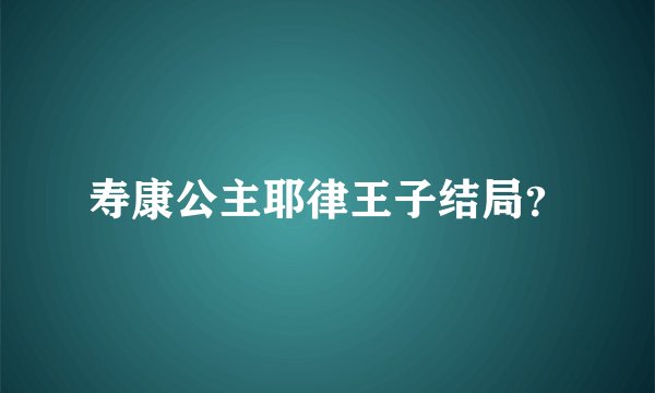 寿康公主耶律王子结局？