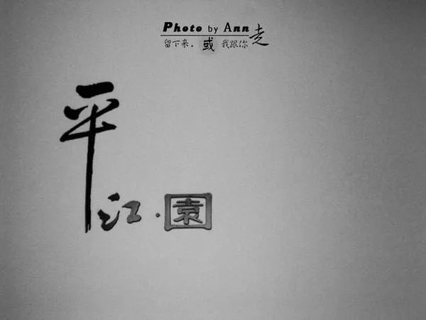 千年的心的卡片信息