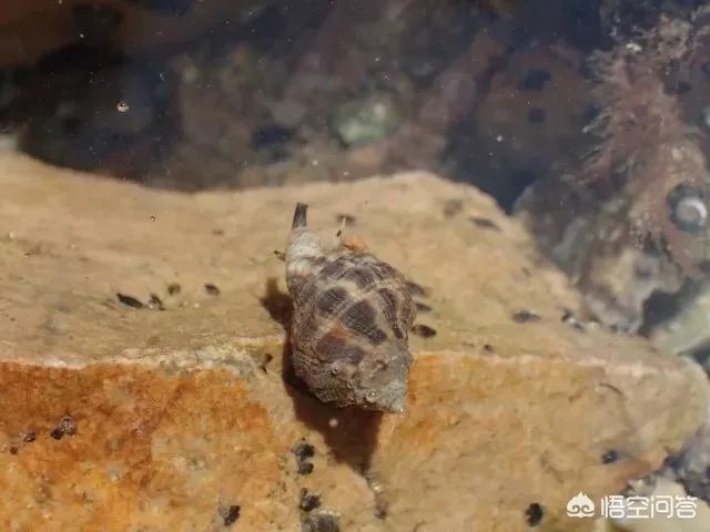 想去拉萨玩，有什么要注意的吗？