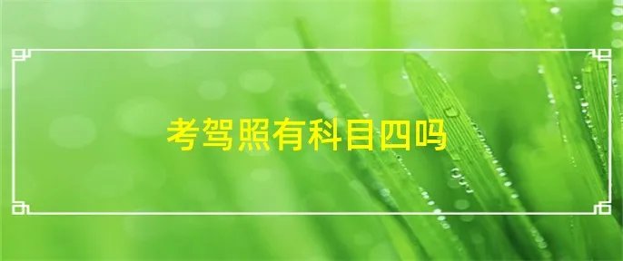 考驾照有科目四吗