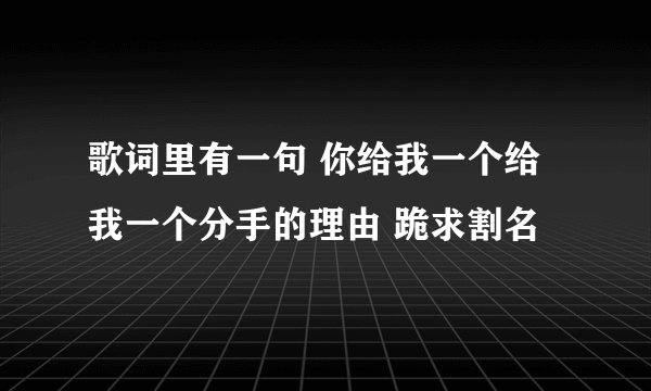 歌词里有一句 你给我一个给我一个分手的理由 跪求割名