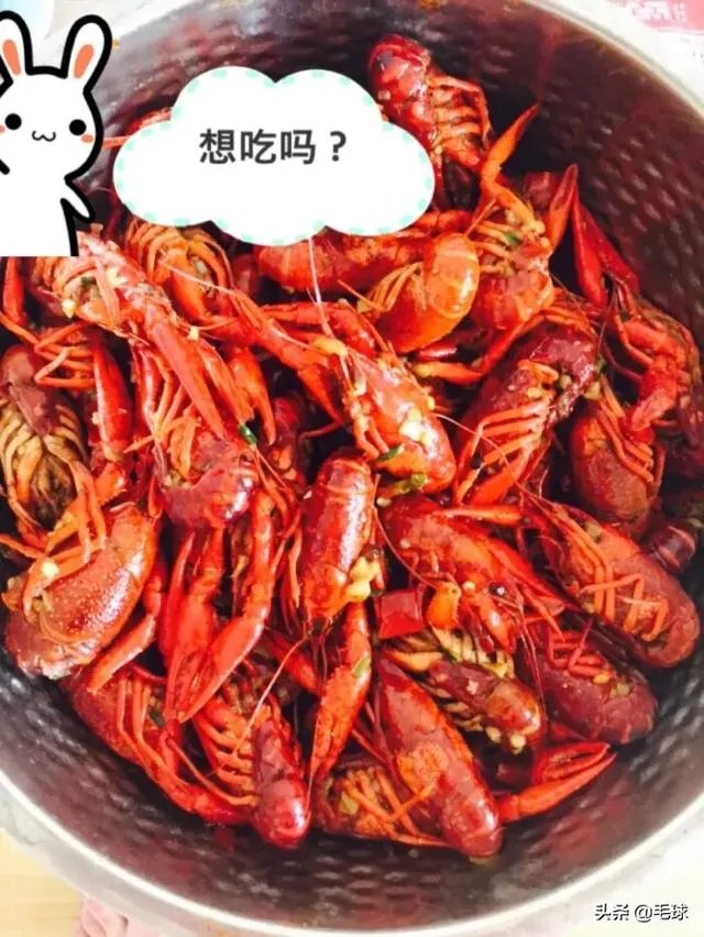 养殖户们连叫亏本,消费者们又大呼吃不起,小龙虾困境如何破解?