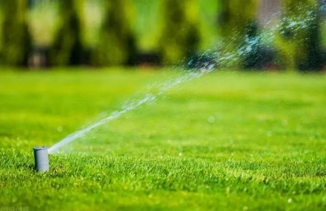 2021年日本奥运会，中国能否成为金牌榜和奖牌榜的第一？