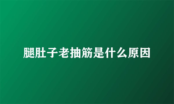腿肚子老抽筋是什么原因
