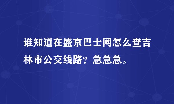 谁知道在盛京巴士网怎么查吉林市公交线路？急急急。