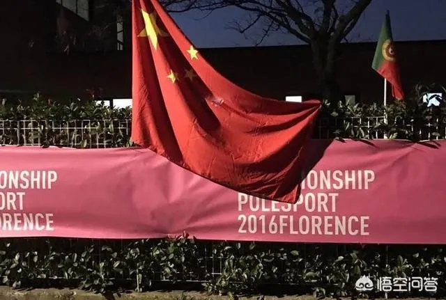 2016年意大利钢管舞比赛