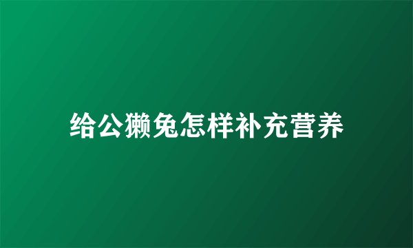 给公獭兔怎样补充营养