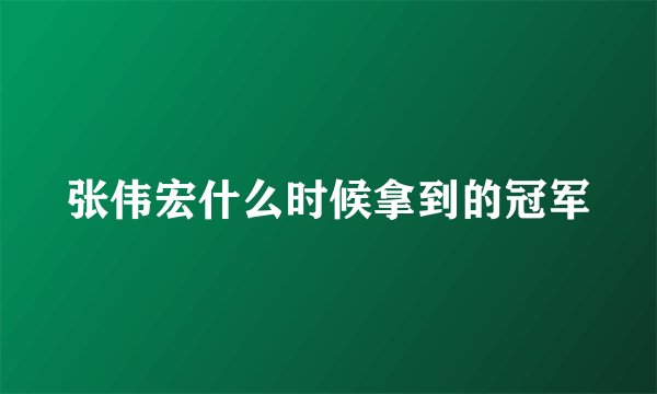 张伟宏什么时候拿到的冠军