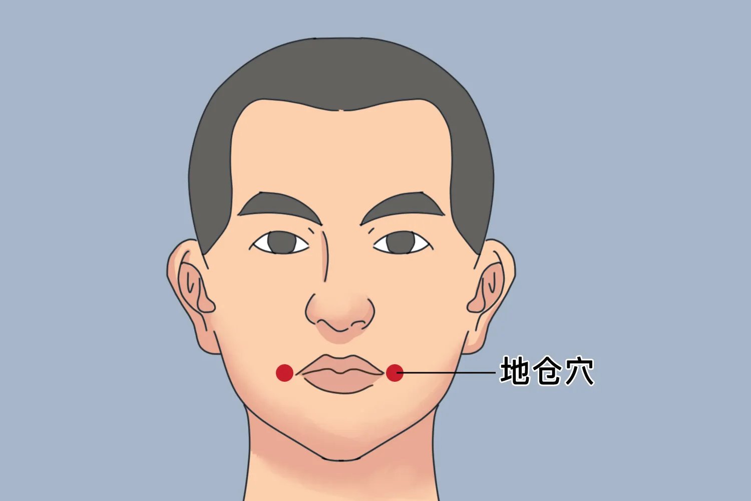 面部24个美容部位