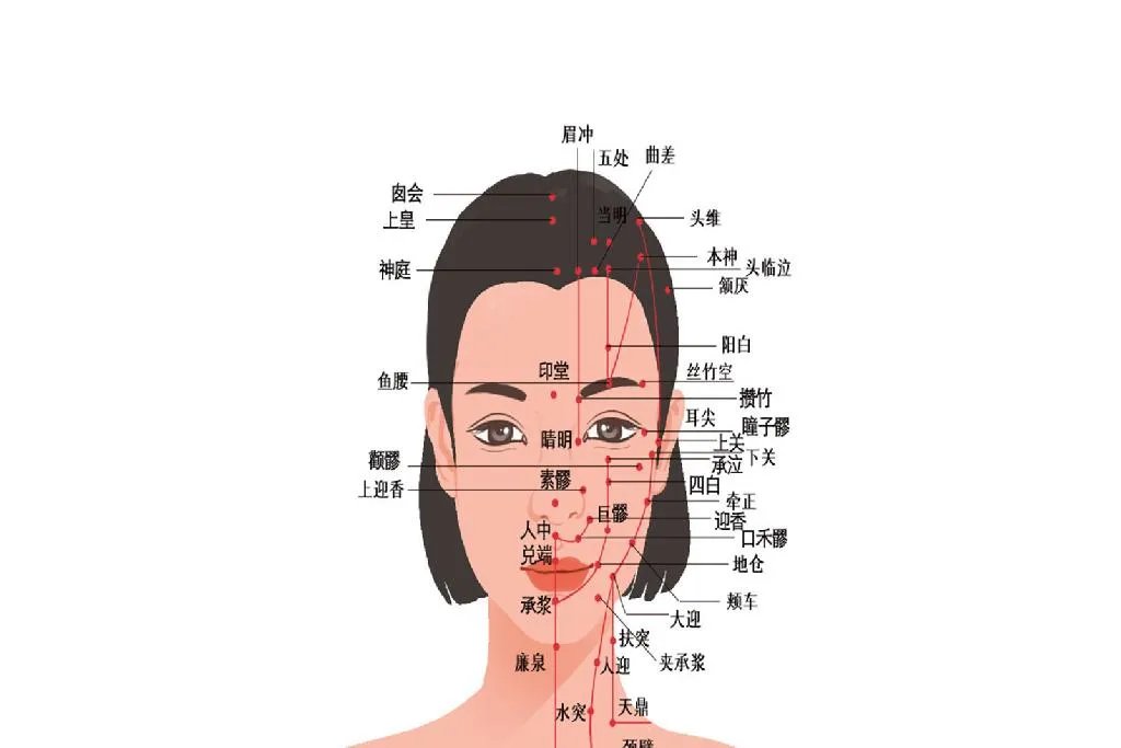 人体经络示意图