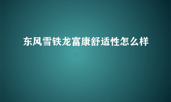 东风雪铁龙富康舒适性怎么样