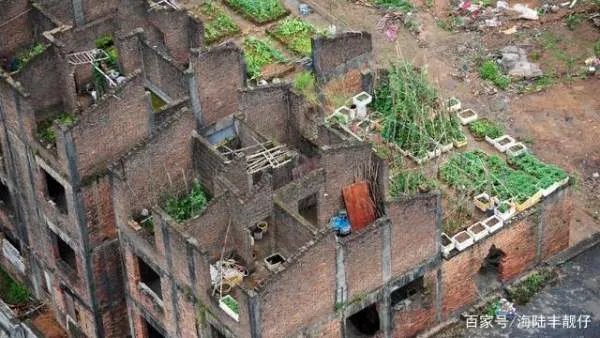 深圳124栋烂尾别墅群荒废已久,有人居住种菜,网友众说纷纭,你怎么看?