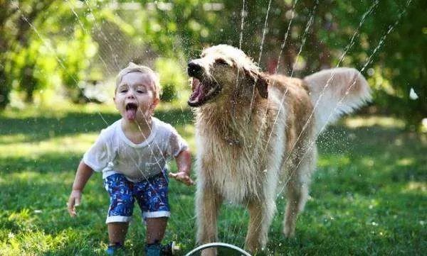 为什么很多人喜欢养宠物?