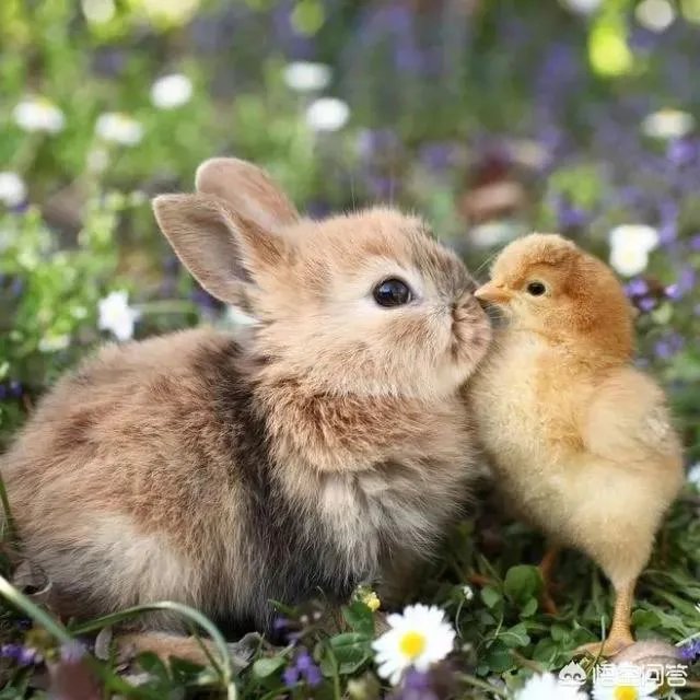 想去拉萨玩，有什么要注意的吗？