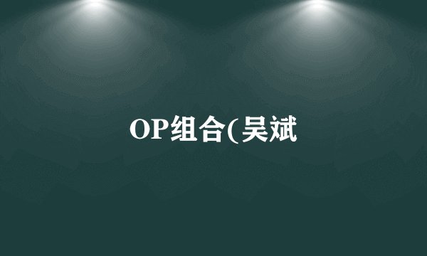 OP组合(吴斌