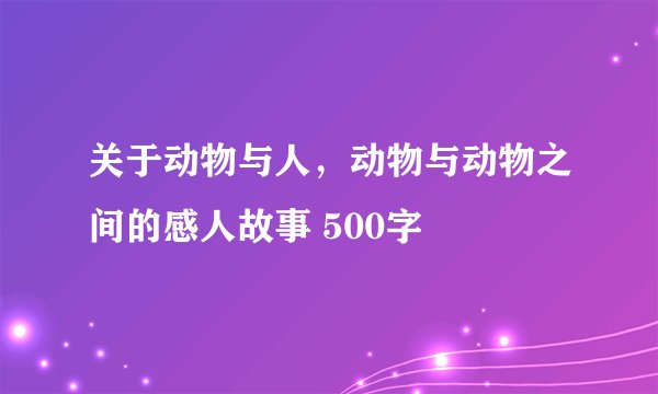关于动物与人，动物与动物之间的感人故事 500字