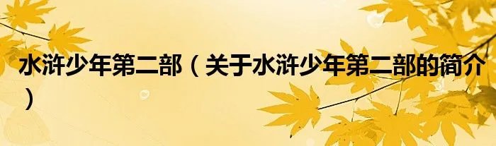 水浒少年第二部（关于水浒少年第二部的简介）