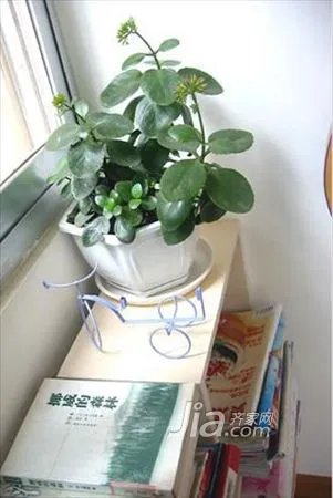 90平爱的温馨家 橙黄绿的组合