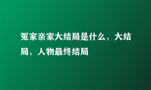 冤家亲家大结局是什么，大结局，人物最终结局