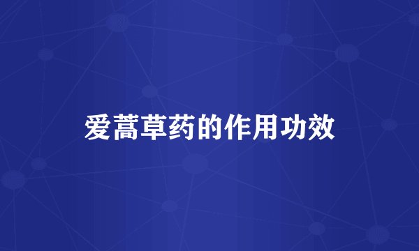 爱蒿草药的作用功效