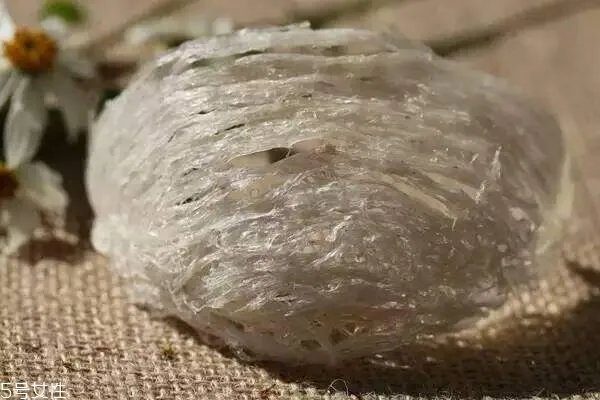 燕窝产地哪里最好 世界3大产地pk