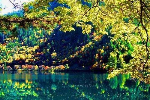 关于九寨沟火花海将恢复开放一事，你有何看法？