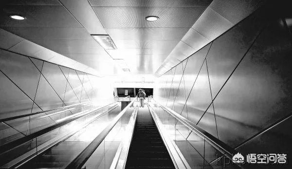 假如你可以看到你十年以后是什么样，你会看吗？