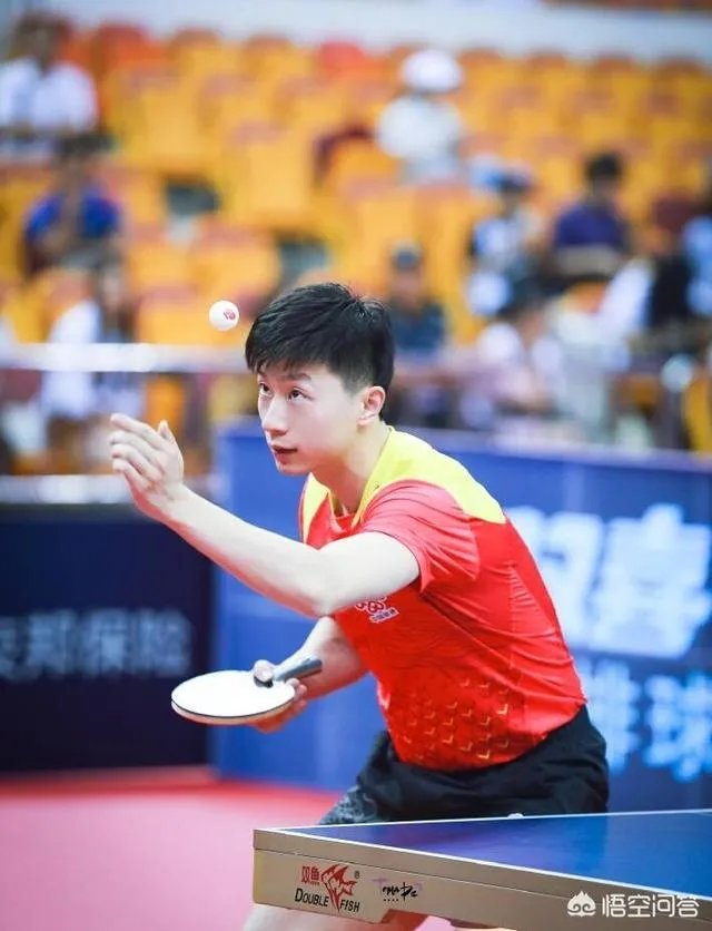 2019卡塔尔公开赛名单