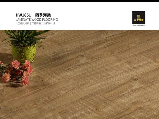 家的向往丨大卫地板网络系列 承载美好生活