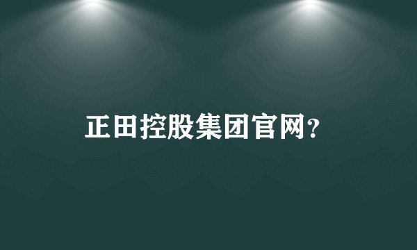正田控股集团官网？