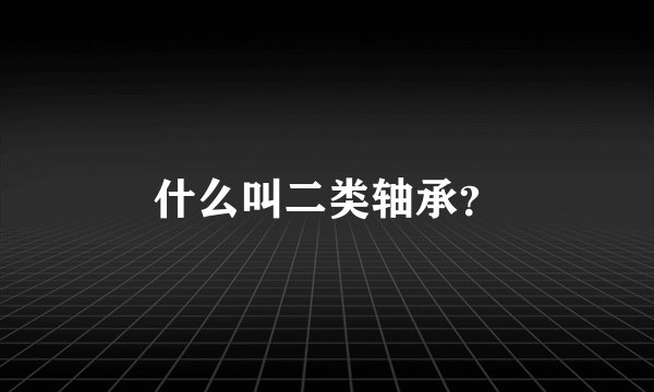 什么叫二类轴承？