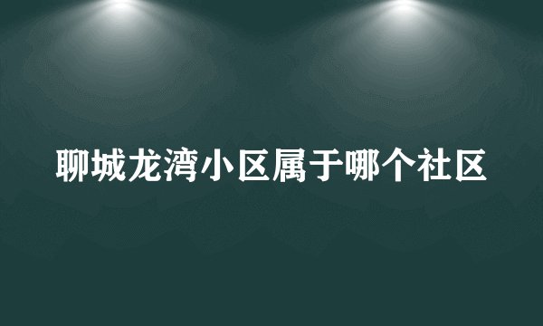 聊城龙湾小区属于哪个社区