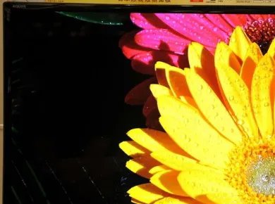 夏普液晶电视怎么样?好不好