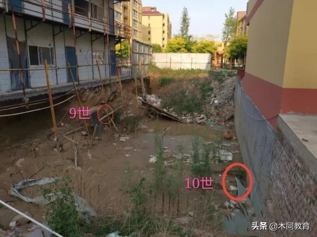 祖坟遗骨被抛洒，78位村民状告开发商索赔410万，怎么回事？