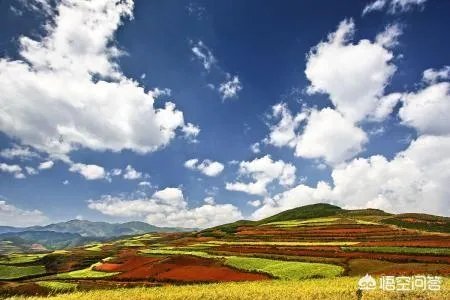 为什么网络曝光云南旅游很多黑幕竟然还有人敢去？