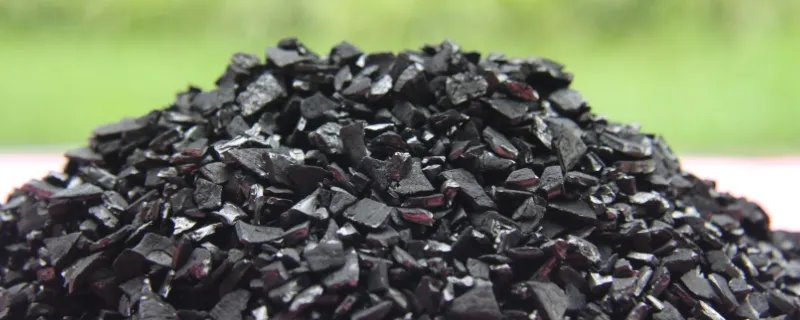 新房里放什么东西能吸甲醛