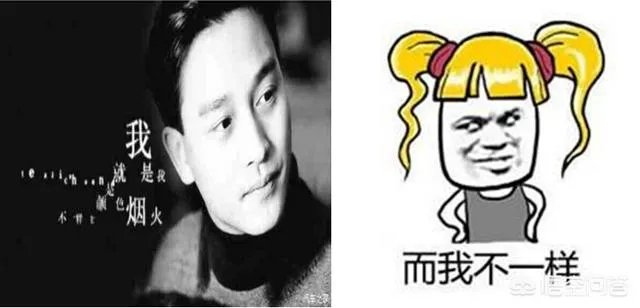 女司机到底有多恐怖？