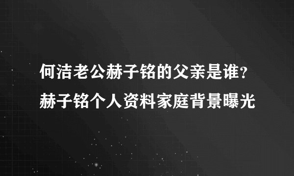 何洁老公赫子铭的父亲是谁？赫子铭个人资料家庭背景曝光