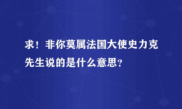 求！非你莫属法国大使史力克先生说的是什么意思？