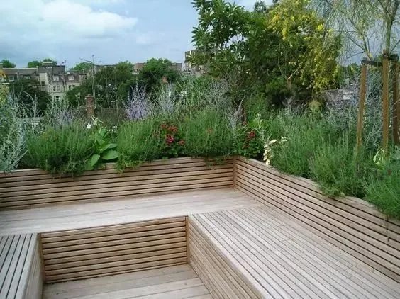 图片精选 | 小清新的木平台