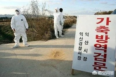 年现在能去韩国疫情风险大么？