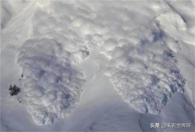 2020年地震雪崩与2019年澳大利亚大火有关系吗？