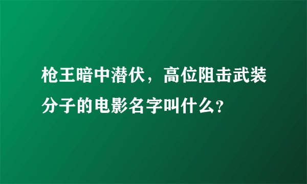 枪王暗中潜伏，高位阻击武装分子的电影名字叫什么？