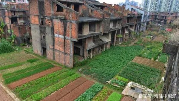 深圳124栋烂尾别墅群荒废已久，有人居住种菜，网友众说纷纭，你怎么看？