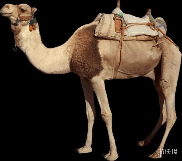 《代号：龙》游戏特色内容玩法图文介绍 游戏怎么样？