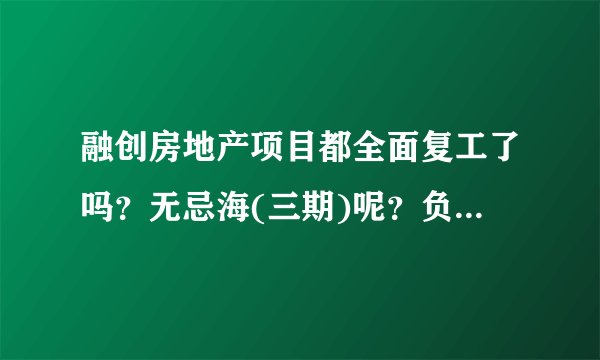 融创房地产项目都全面复工了吗？无忌海(三期)呢？负责人是谁？