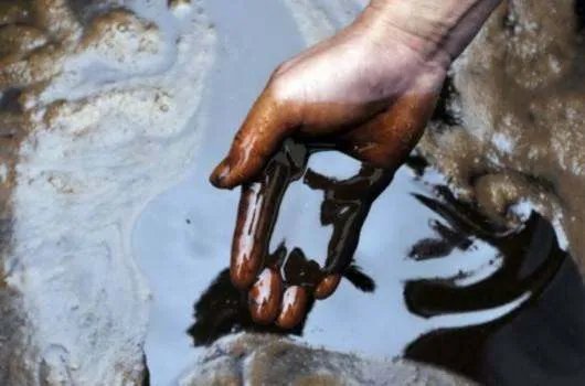 小龙坎一门店竟使用地沟油，地沟油会对人体造成什么伤害？